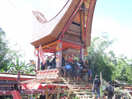 hier ruht der Sarg bis zum Ende der mehrträgigen Zeremonie - am 3. Tag der Zeremonie werden die Büffel geschlachtet