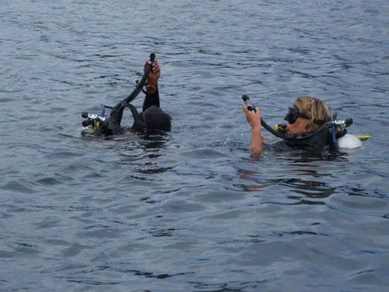 einmal abtauchen in eine absolut andere Welt