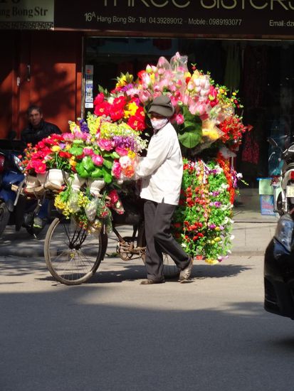 Hanoi ist wunderschön, man muß praktisch nicht erst ein Kaufhaus suchen, die Waren werden zu dem Kunden gebracht