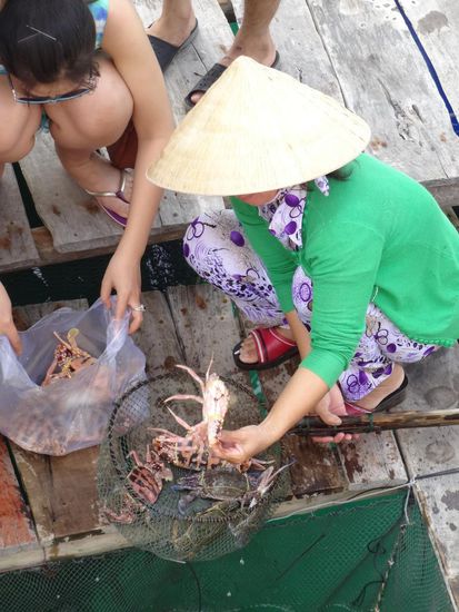 die landeten später auf den Tisch