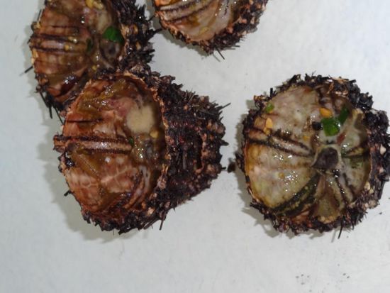 Seeigel - eine Spezialität, mit Chili und Zitronengras