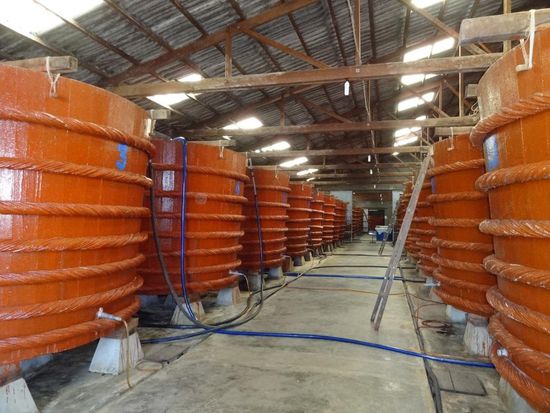 Fischsoßenfabrik - in den Bottichen war nicht viel zu sehen