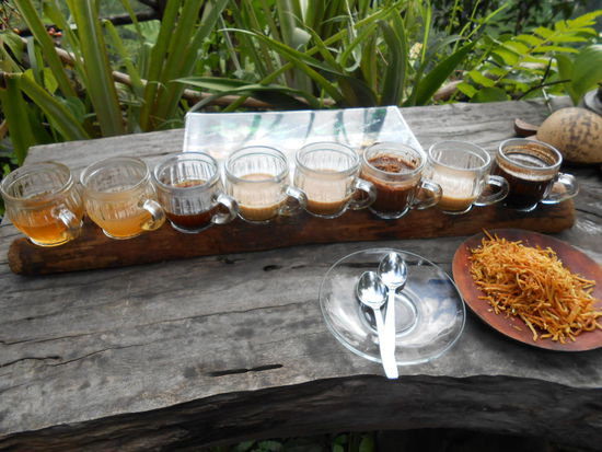 das kostenlose Probier- Tablett