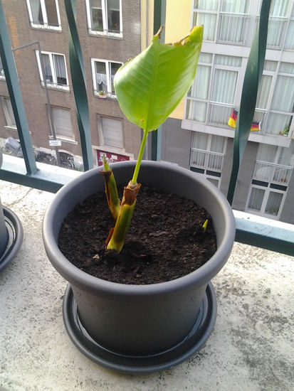 erste Erfolge