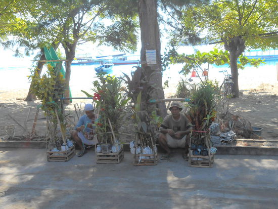 Blumengeschäft auf Indonesisch