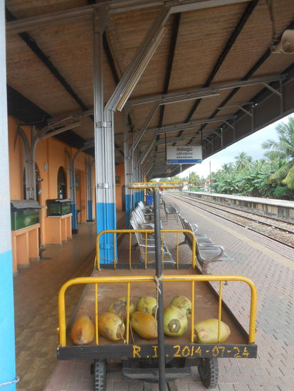 Kokusnuß-Transport in einem tropischen Land - ach wie süß