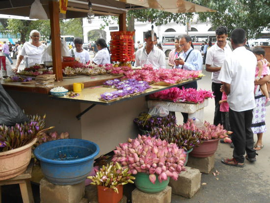Blumenstand vor dem Zahntempel in Kandy