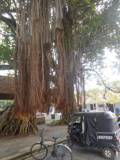 Parkplatznutzung in Sri Lanka