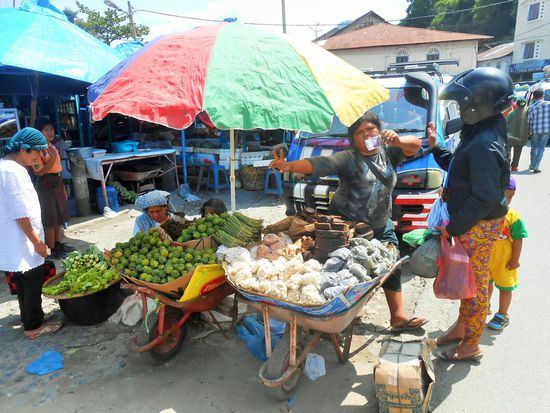 Schubkarren sind sowieso üebrall auf Sumatra große Mode