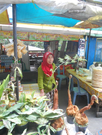 Blumenverkäuferin im Harau Tal mit dem Affenfarn