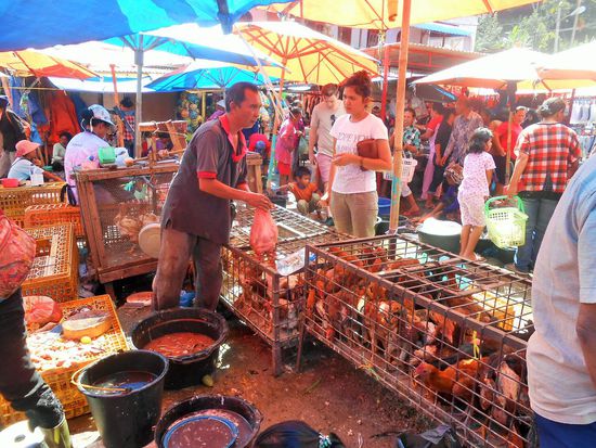 der Geflügelverkäufer in Paarapat auf dem Markt