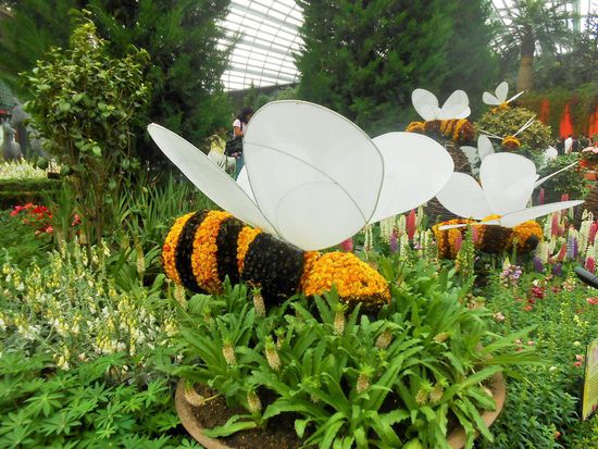 Kinderland oder Fantasialand - wunderschön bepflanzte Beete mit Fingerhut im Flower Dome