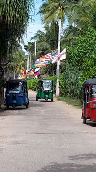 Strandallee in Tangalle vermittelt einen "Wohlfühlblick"