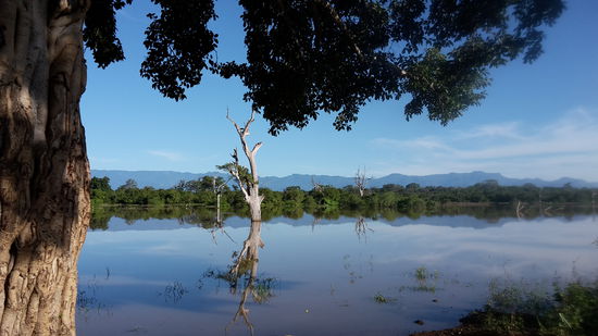 landschaftlich ist der Nationalpark Udawalawe ebenfalls ein absoluter Genuss