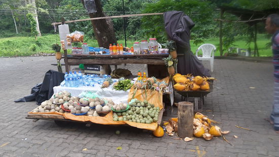 Allgegenwärtige Erfrischungsstände in Sri Lanka. Man ist ständig mit Kokosnüssen beschäftigt. Sri Lanka ist ein wirklich wunderschönes Land. Kokosnuss Fans sind hier an der allerbesten Stelle