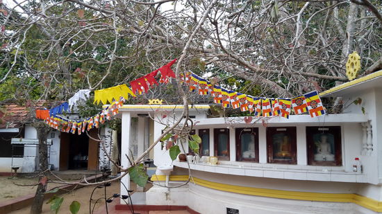 der Bodhi Baum in der Mitte