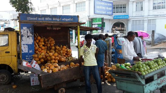 zu Trinken natürlich die King Coconut, einer verauft, der nächste hackt auf etc.
