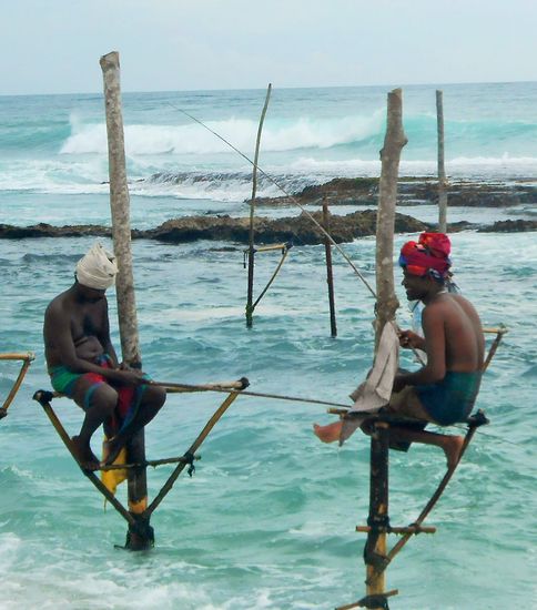 Stelzenfischer in Kogalle - Touristenfang ist lukrativer als Fischfang, soviel ist sicher, aber wenigstens ein paar relativ authentisch aussehende Stelzenfischer durch absolut purem Zufall gesehen. Dank sei einer Busladung Chinesen