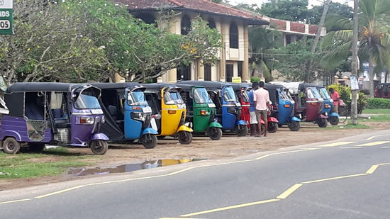 schönste Tuk Tuk Flotte Sri Lankas