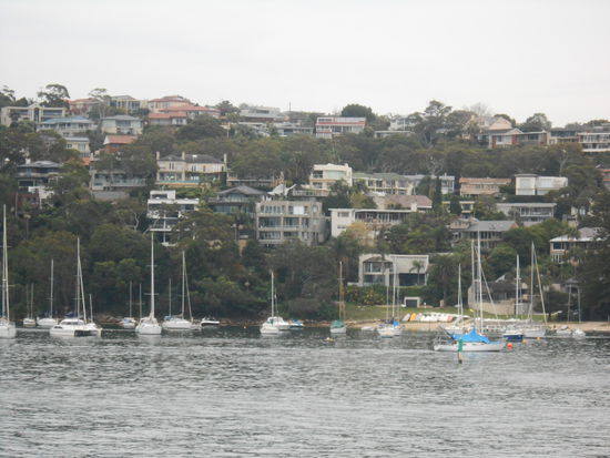 Welches Boot soll es denn nun werden?