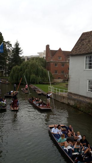 Punting für Touristen auf dem kleinen Flüßchen Cam. In Oxford wird gerudert