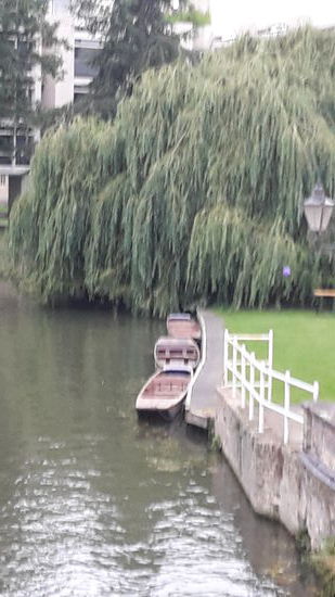 Hier kann man Boot fahren. In Cambridge wird das punting genannt