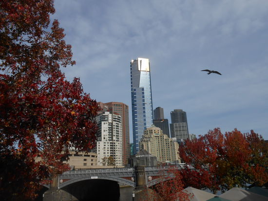 das schönste Herbst Foto Melbournes