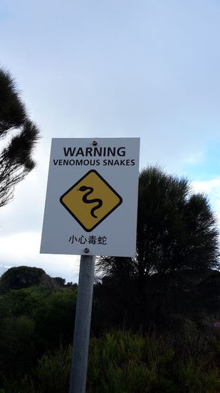 Wahrscheinlich lauert der Inland Taipan im Gebüsch; auf jeden Fall kein Verstehen Sie Spaß Schild