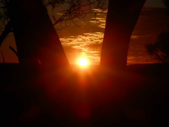 Sonnenuntergang (Kings Creek Station)