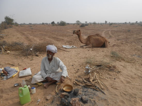 Masala Tee gab es natürlich mit Kamel-Milch