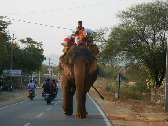 Elefanten brauchen Platz. Es ist einmalig. Ich war hingerissen.
