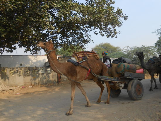 Leute aus indien kennenlernen