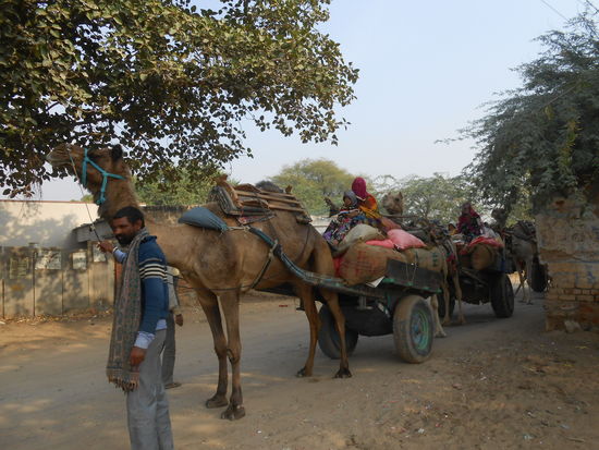 Leute aus indien kennenlernen