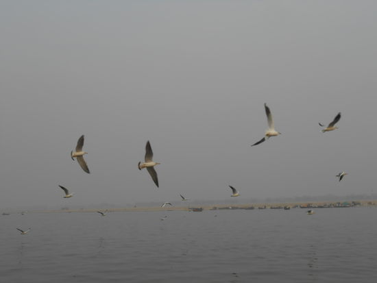 Stimmung auf dem Ganges