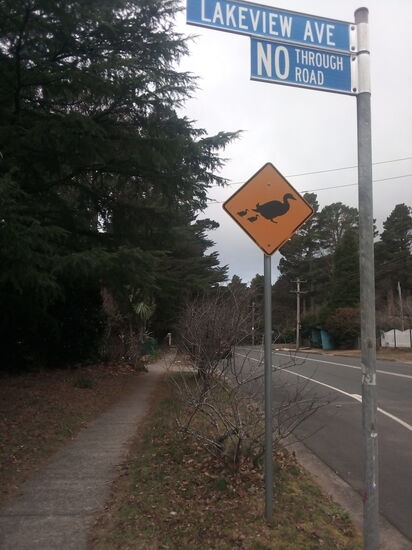 Alle meine Entchen - in den Blue Mountain sieht man dieses Schild sehr oft