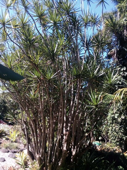 Zu Hause mühe ich mich ab