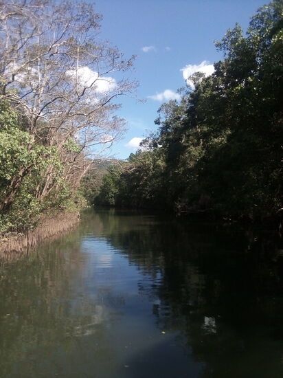 Daintree River