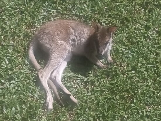 Einmal Sonne tanken, jeder hat eben andere Hobbies