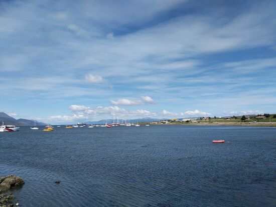 Am Hafen ist es tierisch schön in Ushuaia.