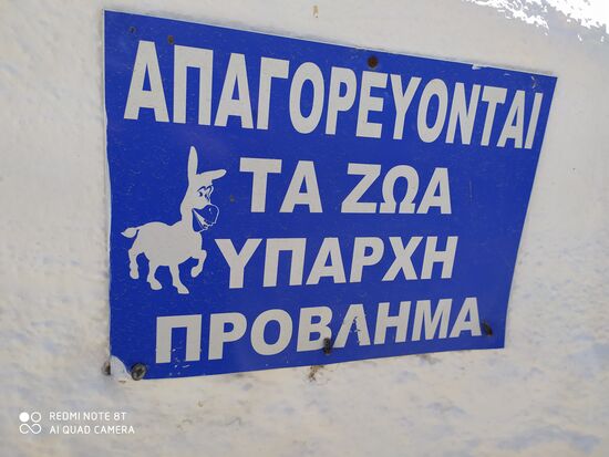 Hier kann man das Tier "lesen"