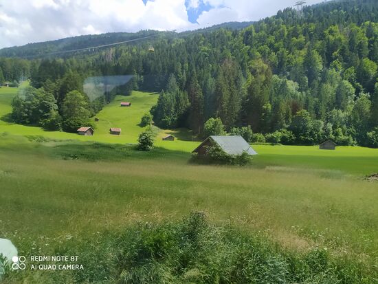 Wozu dienen diese Häuschen mitten auf der Wiese