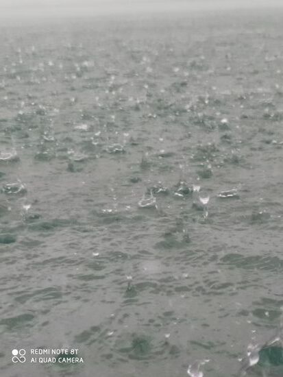 Ich mag dieses Regenbild - Regen kann so schön sein