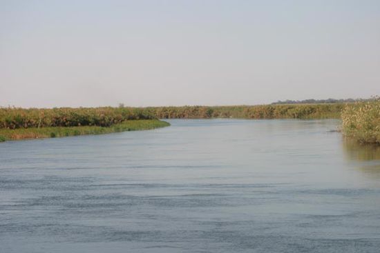 Der Okawango