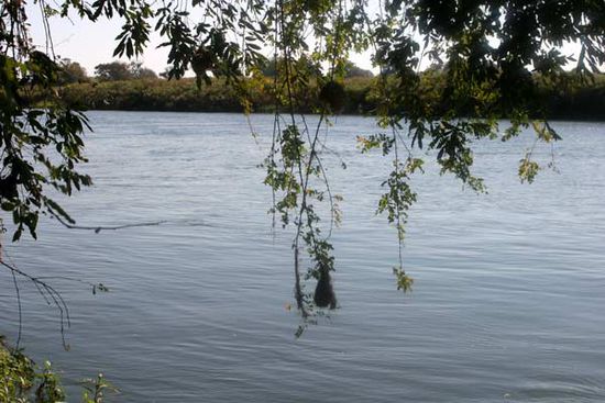 Auch "Drotskys Cabins" lag wunderschön "on the banks of the Okawango".