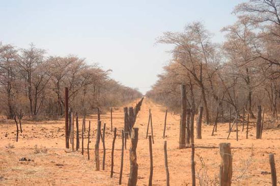 Weidezäune unterteilten das karge Farmland.