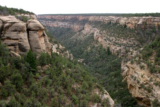 Am Rande eines Tales, kurz vor dem Zugang zum "Cliff Palace" legten wir eine Rast ein.