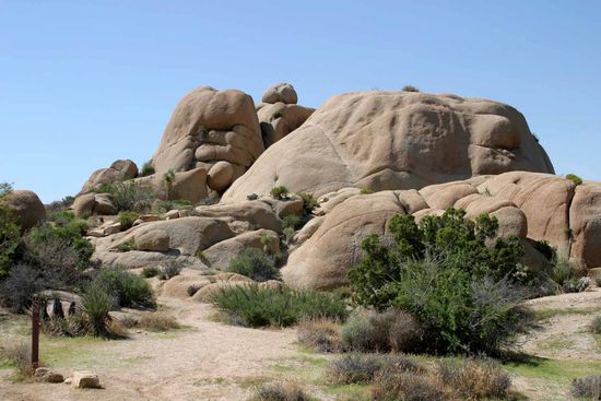 Der Joshua Tree Nationalpark, bekannt für die Jumbo Rock, riesige Granitbuckel