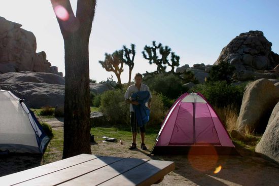 Übernachten im Park, im Hidden Valley, einem Bereich, der zur Mojavewüste gehört.
An nichtmenschlichen Lebewesen gab es hier u. A.: Straßenläufer, Goldadler, Kojoten, Präriehasen, Kängururatten, Nachteidechsen, Höhleneulen, Luchse, Taranteln und Klapperschlangen.