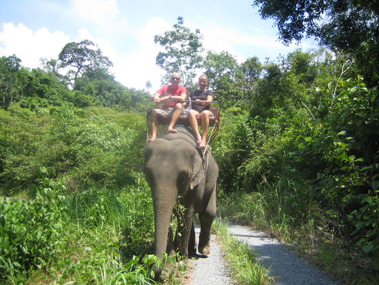 immer schoen festhalten