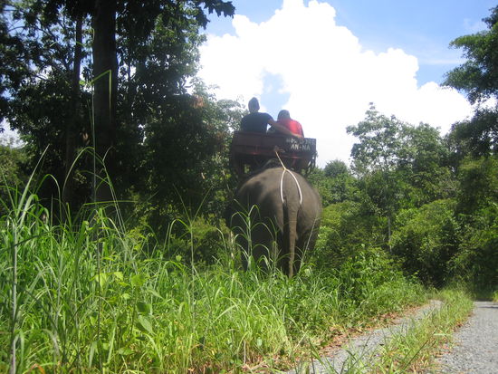 Hiiiiiiiiiiilfe, wo will die denn jetzt hin?????